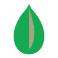 MongoDB